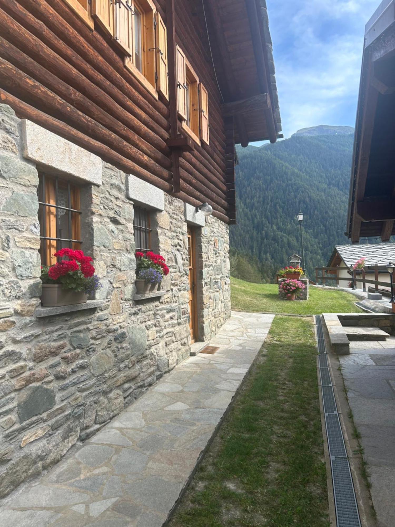 Monolocale Di Montagna Vendégház Gressan Kültér fotó